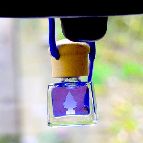 Little Trees Bottle Sport Air Freshener підвісний ароматизатор у пляшці із запахом спорт, зображення 5