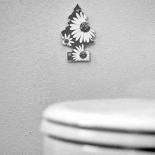 Little Trees Steel Pure Air Freshener ароматизатор ялинка із запахом стальної свіжості, зображення 6